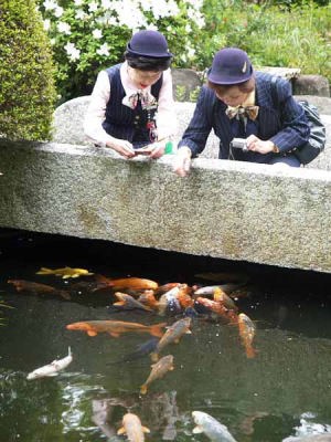 �K�C�h����i���q ���J���j