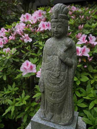 �ω��l�i���q ���J���j