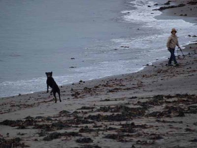 ���݁i���q �����j