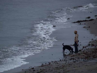 ���݁i���q �����j