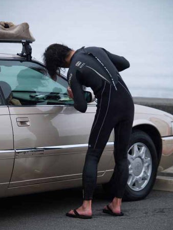 �T�[�t�@�[�i���q �����j