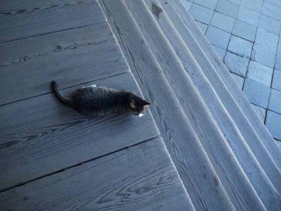 �l�R�i���q ���{���j