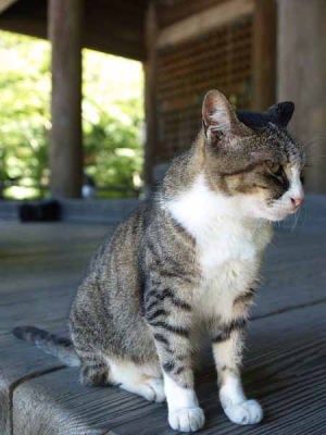 �l�R�i���q ���{���j