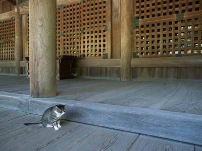 �l�R�i���q ���{���j