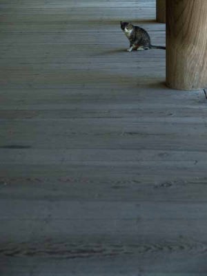 �l�R�i���q ���{���j