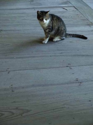 �l�R�i���q ���{���j