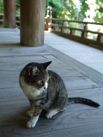 �l�R�i���q ���{���j