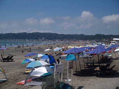 �i���q �R�䃖�l�j