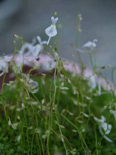 �E�T�M�S�P�i���q �������j