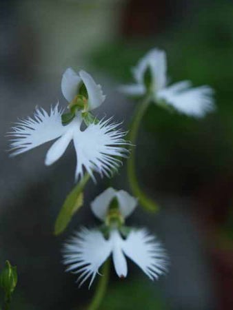 �T�M�\�E�i���q �������j