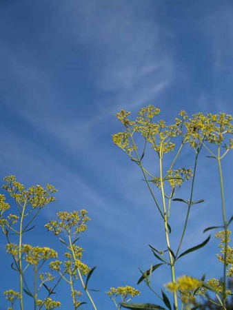 �I�~�i�G�V�i���q ���J���j