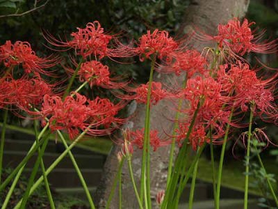 �q�K���o�i�i���q ���o���j