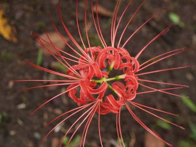 �q�K���o�i�i���q ���o���j