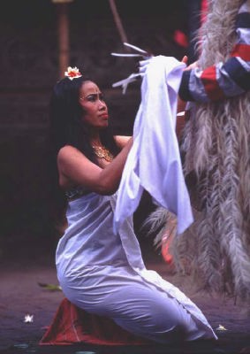 ���i�o�����_���X�j