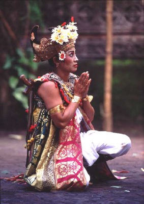 ���i�o�����_���X�j