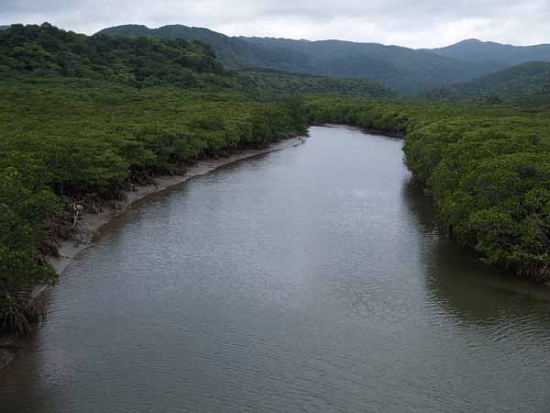 浦内川河口