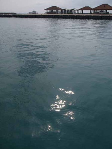 竹富港にて(竹富島)