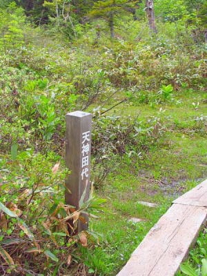 天神田代 13:26