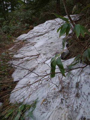 燧ヶ岳の雪渓(尾瀬 燧ヶ岳)