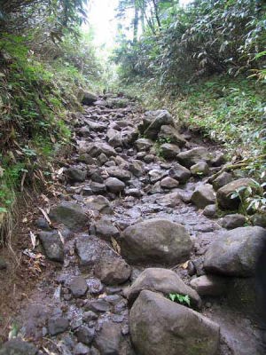 白砂峠へ(尾瀬 段小屋坂)