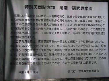 研究見本園看板