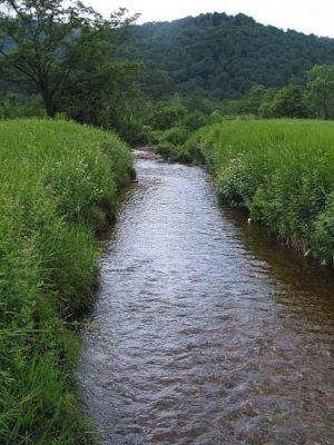 湿原の中の川