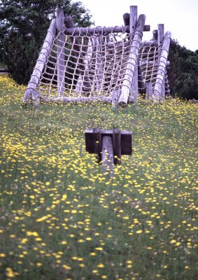 花の中の遊具(稚内 メグマ湿原)