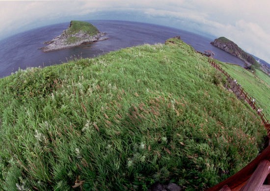 ポンモシリ島(利尻 富士野園地)