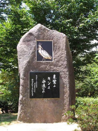 朱鷺よキンよ永遠なれ