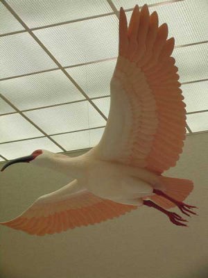 朱鷺色の翼が空を飛んだ頃