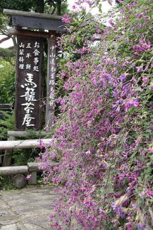 馬籠茶屋(中仙道馬籠宿)