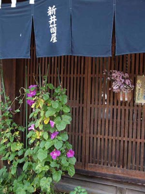 アサガオ(中仙道妻籠宿)