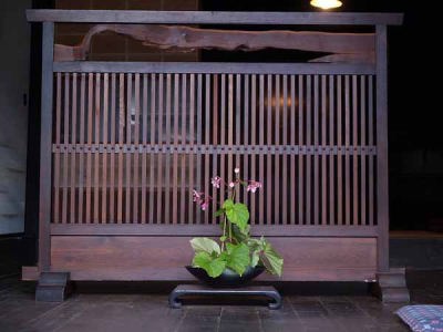 シュウカイドウ(中仙道妻籠宿)