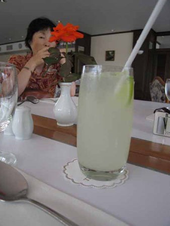 �z�e���E���X�g�����ɂāi���[�Y�E�K�[�f���j