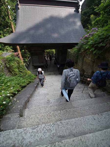 階段・階段(山寺)