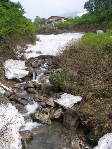 雪が残っている(月山姥山)