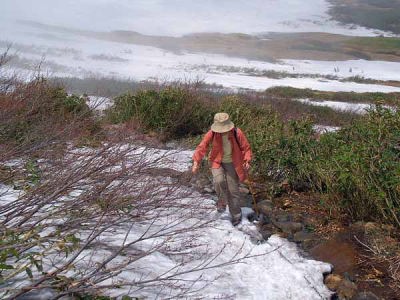 雪渓を歩く(姥ヶ岳)