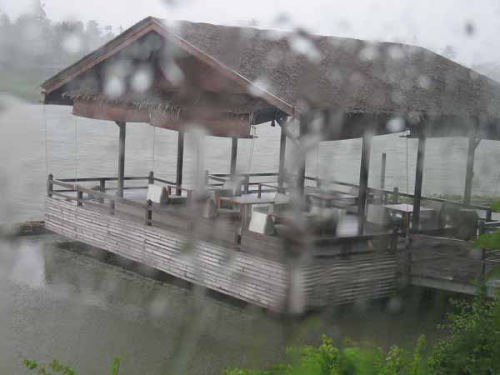 スコール(ローズ・ガーデン)