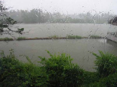 スコール(ローズ・ガーデン)