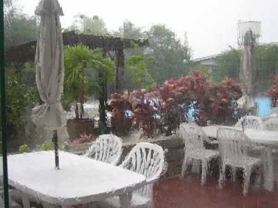 スコール(ローズ・ガーデン)