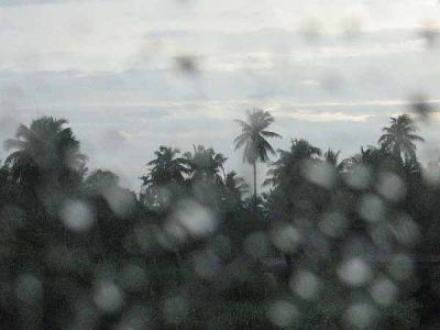 スコール(ローズ・ガーデン)