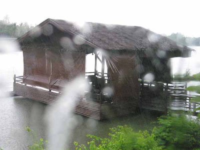 スコール(ローズ・ガーデン)